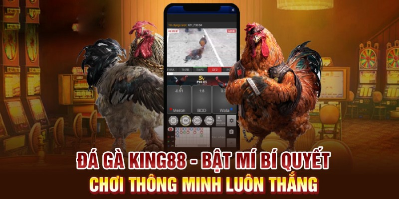 Bí kíp đá gà KING88 cực hay